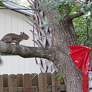 Picture 005
